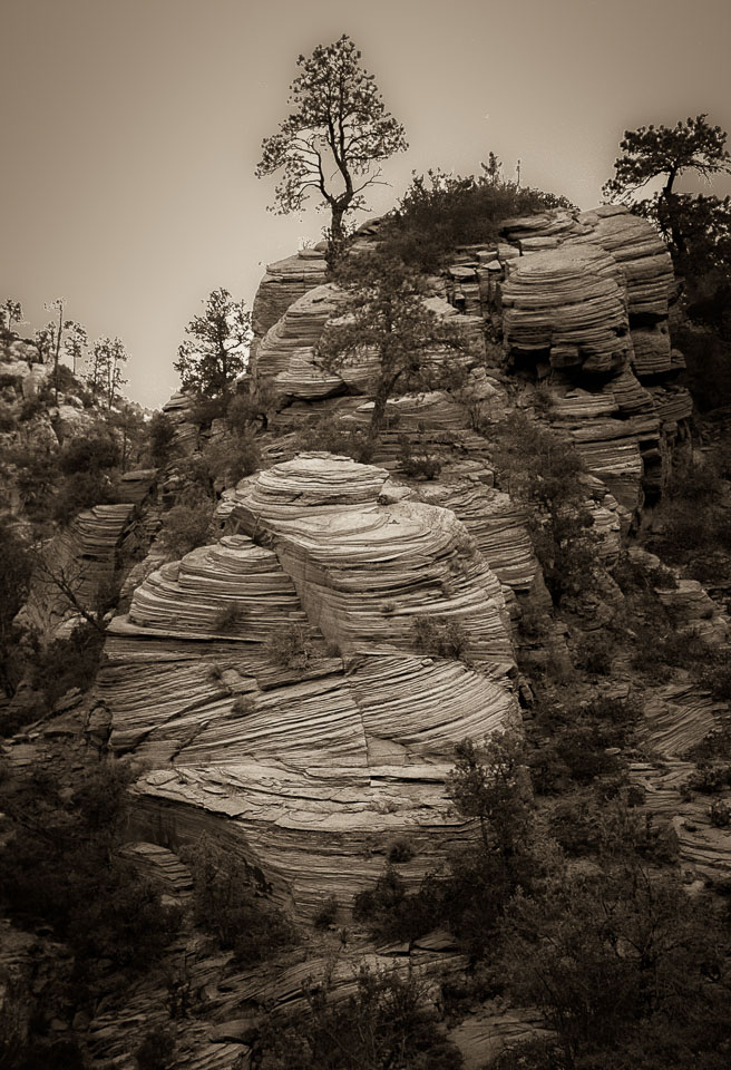 Sandstone Fomation, Zion Plateau