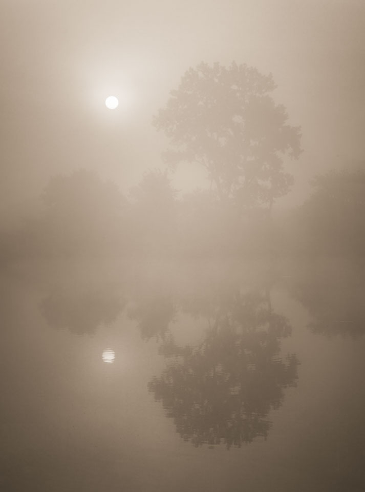 Misty reflections