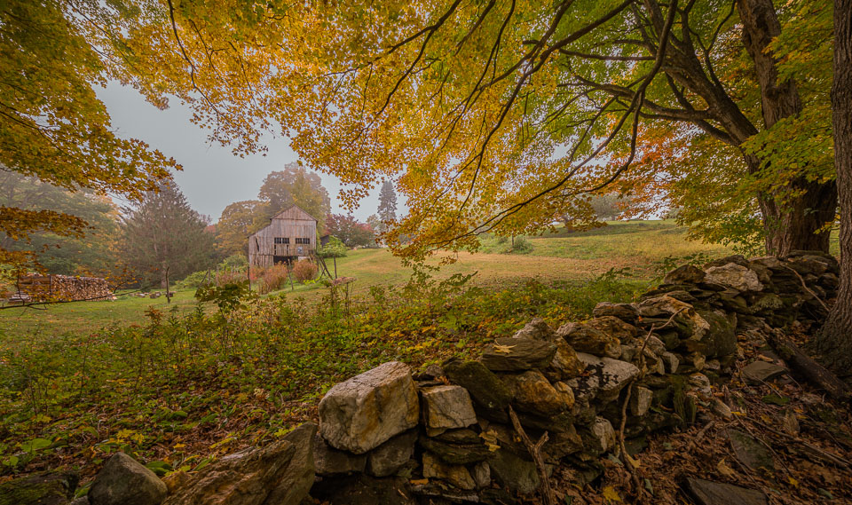 Autumn brushstrokes in Vermont.