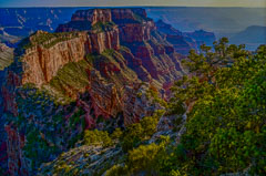 Grand Canyon North Rim, View from Cape Royal