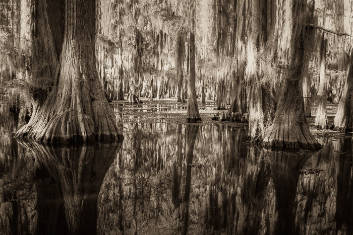 Sepia-toned Black and White